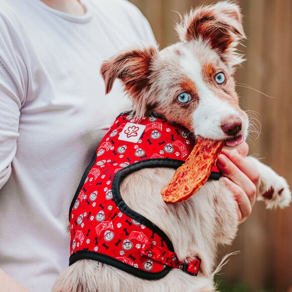 Ohio State Brutus Buckeye Pet Harness - Picture 15 of 16